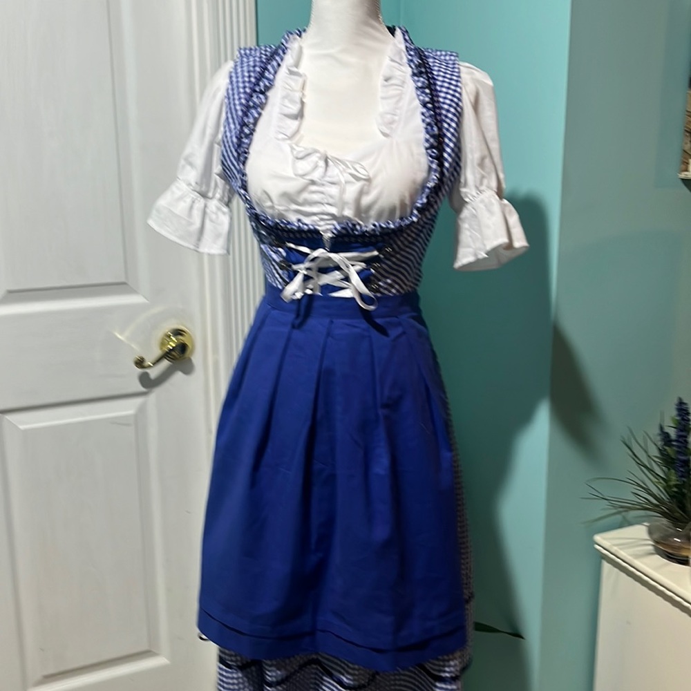 German barmaid beer dirndl